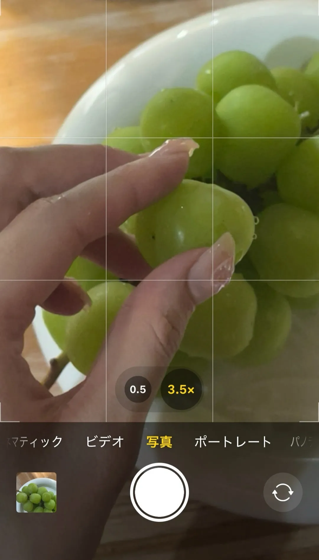 敬