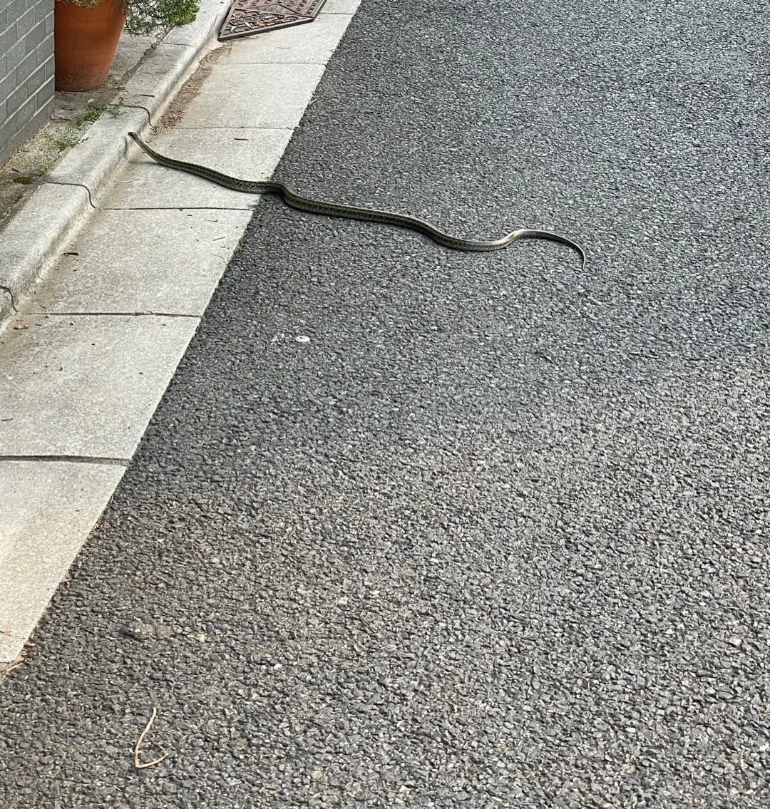 ひゃーー！！！爆笑佐藤優樹