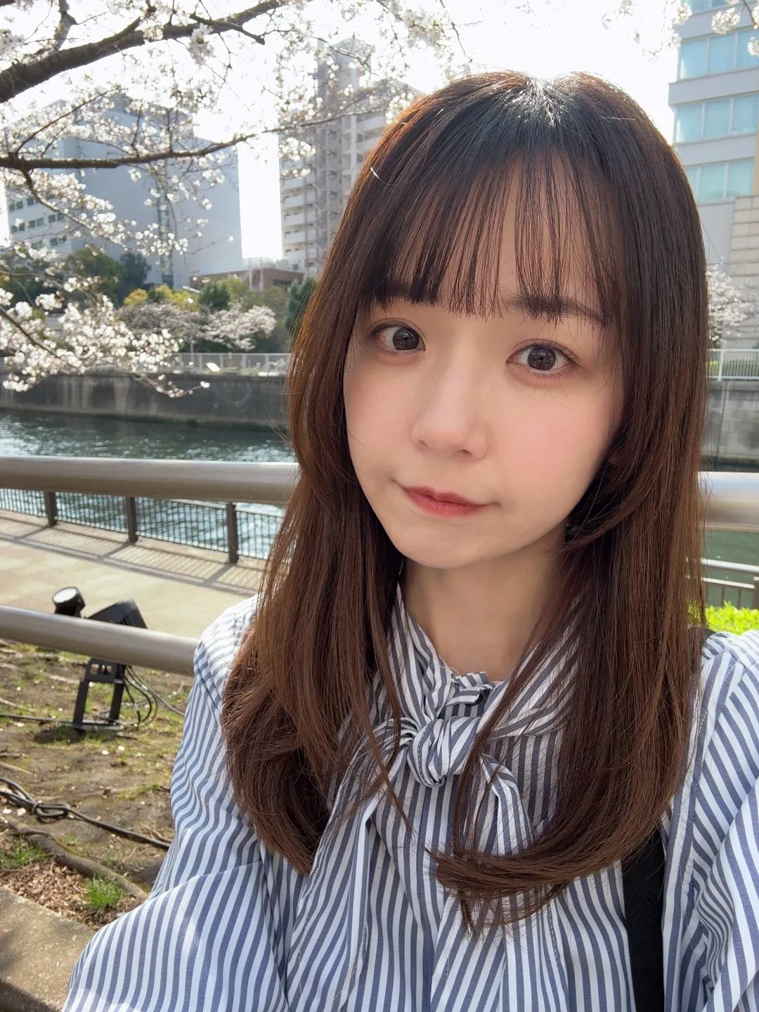 Mステみた???