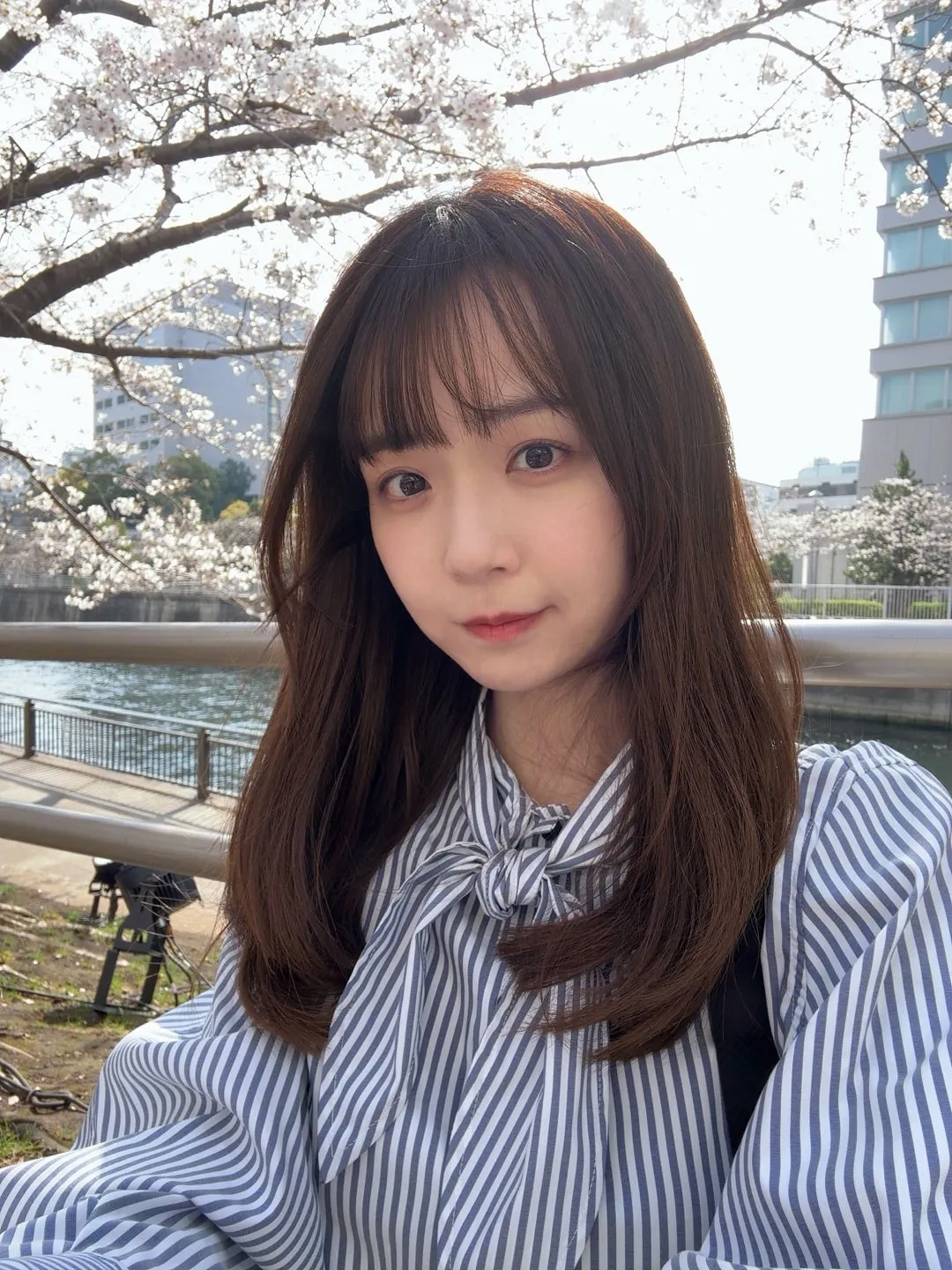 最近のこと